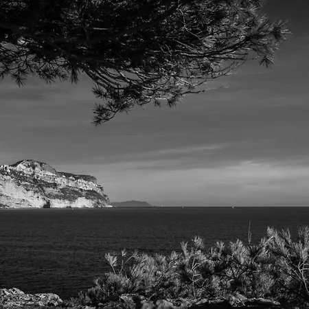 Les Mimosas Bord De Mer, Des Plages, Du Port Et De Toutes Commodites 公寓 滨海圣西尔