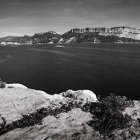 Les Mimosas Bord De Mer, Des Plages, Du Port Et De Toutes Commodites Lägenhet