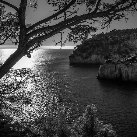 Les Mimosas Bord De Mer, Des Plages, Du Port Et De Toutes Commodites Lägenhet *