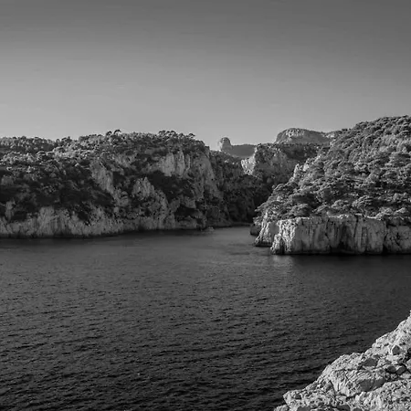 Les Mimosas Bord De Mer, Des Plages, Du Port Et De Toutes Commodites Lägenhet